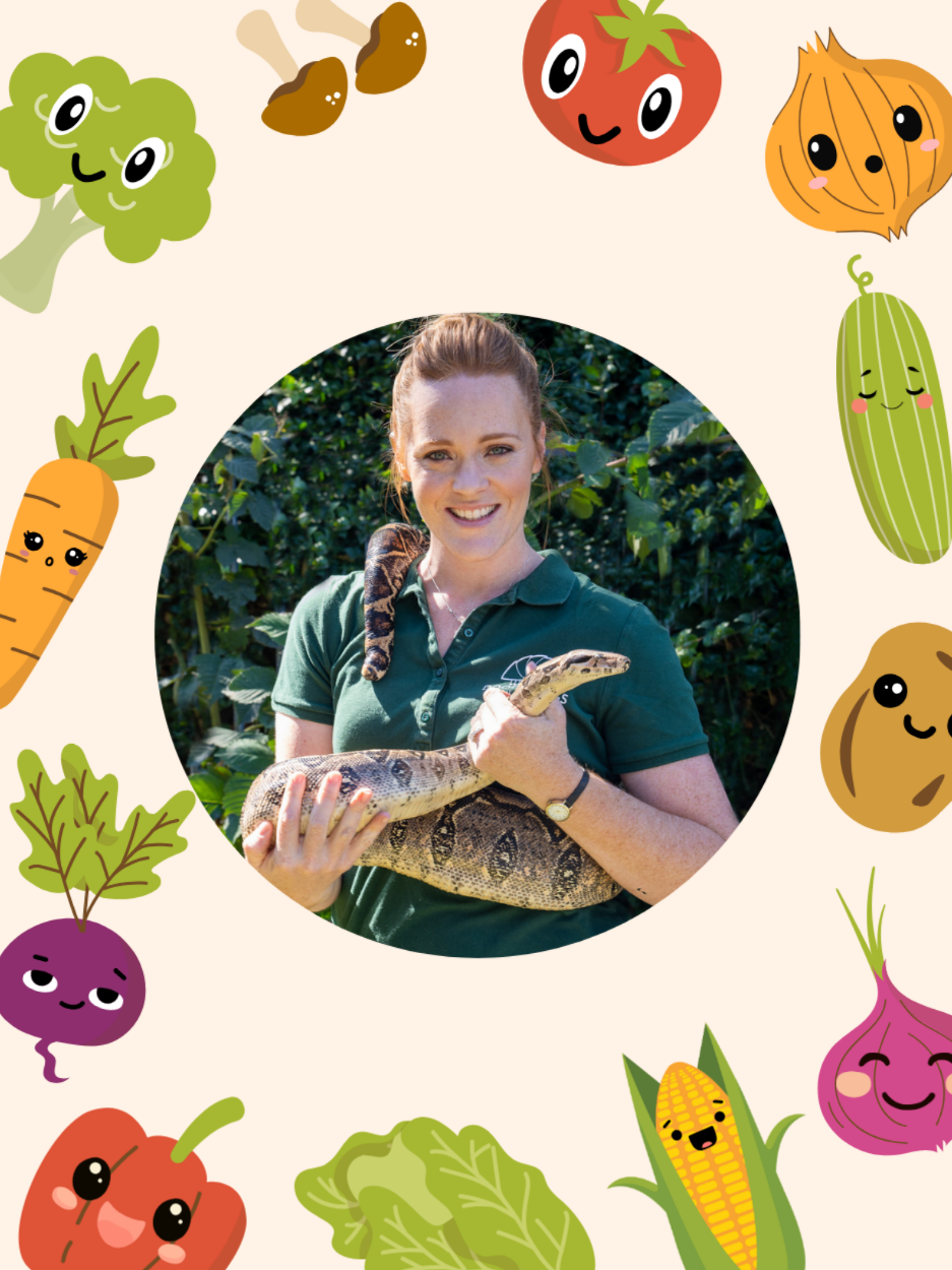 Woman holding snake, surrounded by cute vegetables illustration.