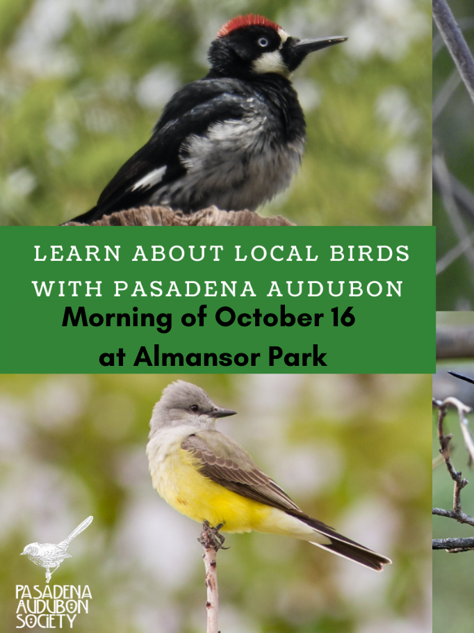 Pasadena Audubon Society
