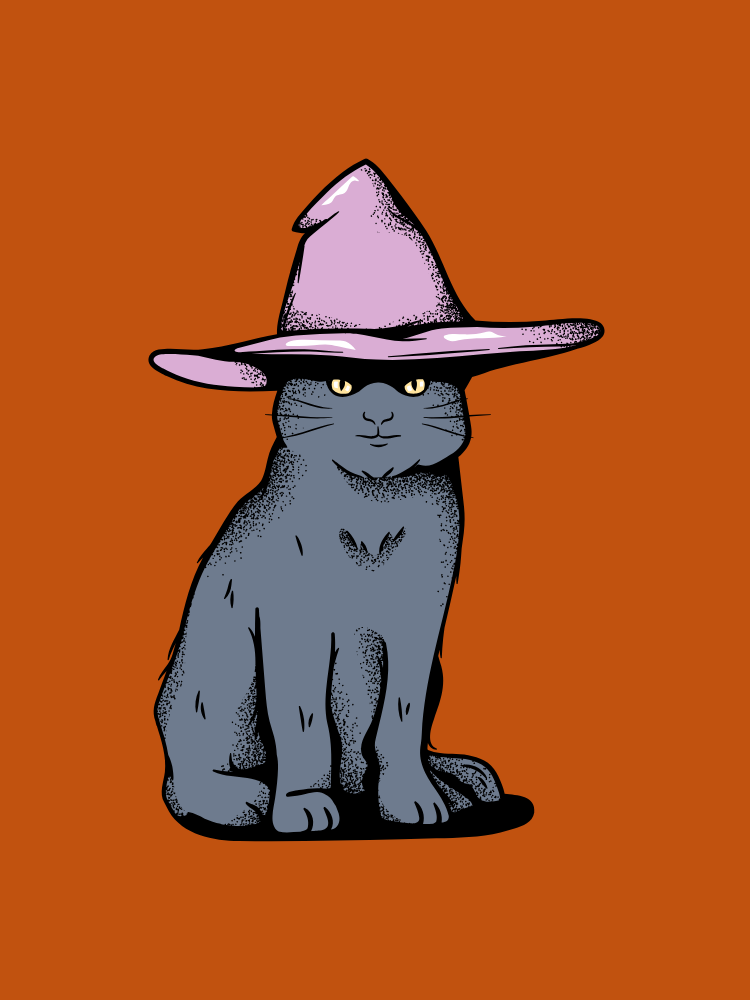 Black cat wearing a witch hat.
