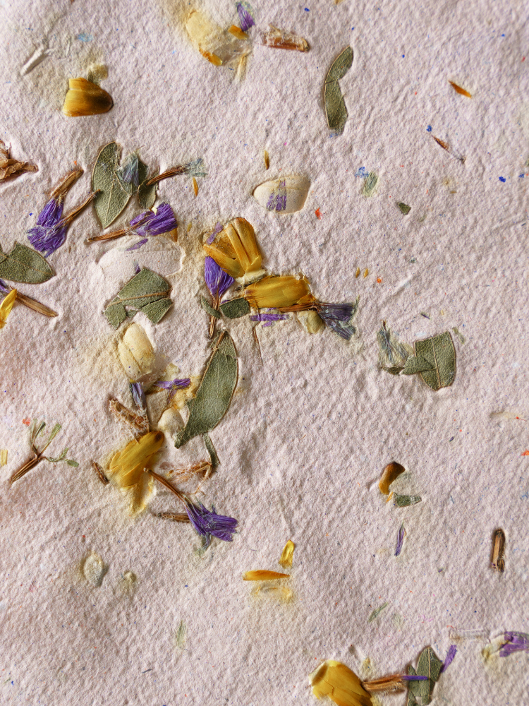 Seed paper.