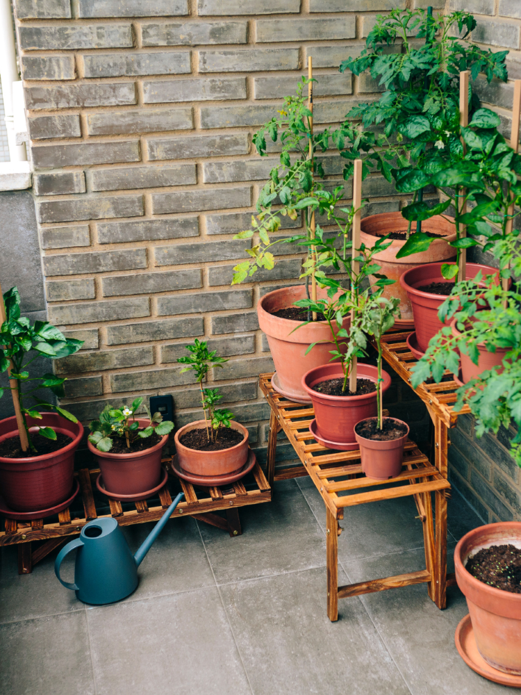 Collection of planter pots on a patio.