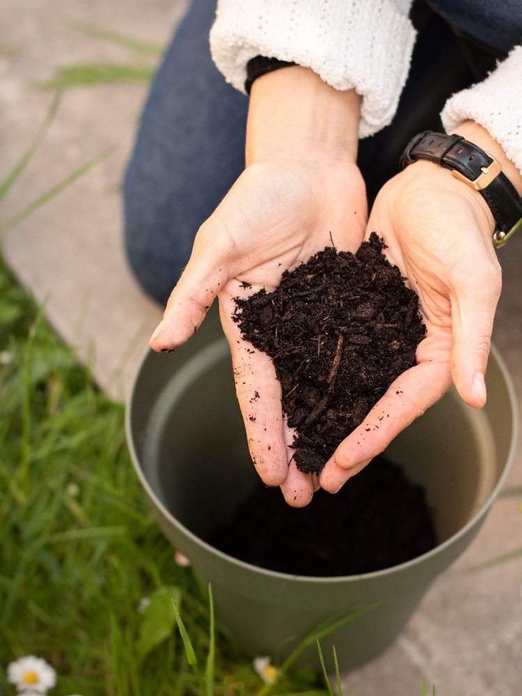 Hands holding soil over a bucket.