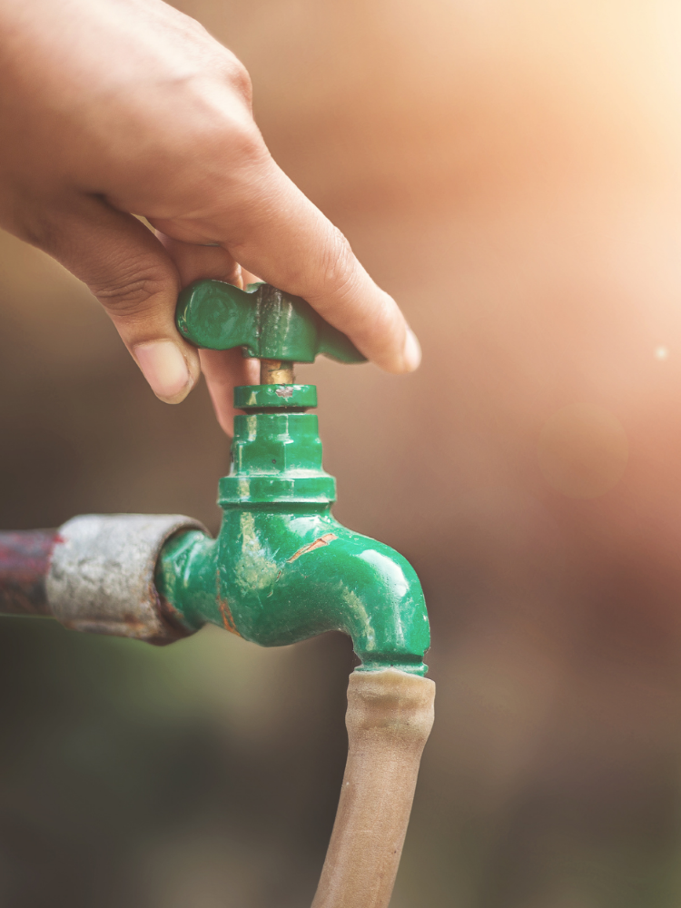 Hand on top of an outdoor spigot.